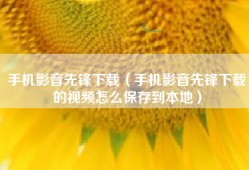 手机影音先锋下载（手机影音先锋下载的视频怎么保存到本地）