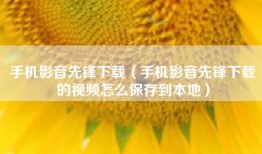 手机影音先锋下载（手机影音先锋下载的视频怎么保存到本地）