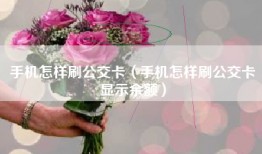 手机怎样刷公交卡（手机怎样刷公交卡显示余额）