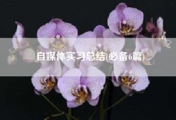自媒体实习总结(必备6篇)