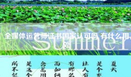 全媒体运营师证书国家认可吗 有什么用处
