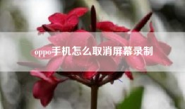 oppo手机怎么取消屏幕录制