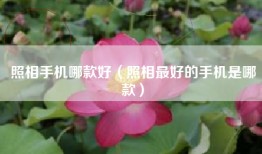 照相手机哪款好（照相最好的手机是哪款）