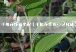 手机在线看小说（手机在线看小说凡徒）