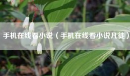 手机在线看小说（手机在线看小说凡徒）