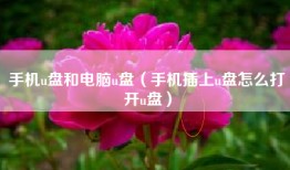 手机u盘和电脑u盘（手机插上u盘怎么打开u盘）
