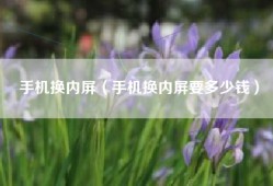 手机换内屏（手机换内屏要多少钱）