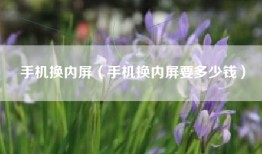 手机换内屏（手机换内屏要多少钱）