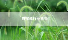 自媒体行业背景