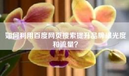 如何利用百度网页搜索提升品牌曝光度和流量？