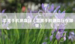 苹果手机测血压（苹果手机测血压在哪里）