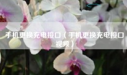 手机更换充电接口（手机更换充电接口视频）