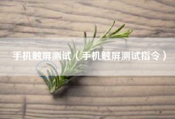 手机触屏测试（手机触屏测试指令）