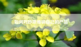 如何巧妙地推销自己的产品
