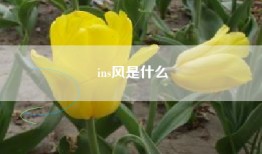 ins风是什么