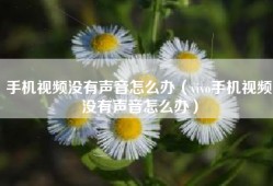 手机视频没有声音怎么办（vivo手机视频没有声音怎么办）