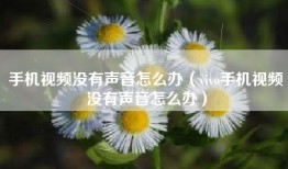 手机视频没有声音怎么办（vivo手机视频没有声音怎么办）
