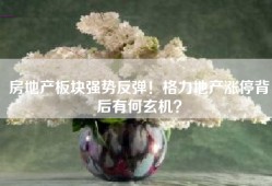 房地产板块强势反弹！格力地产涨停背后有何玄机？