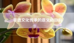 非遗文化传承的意义和目的