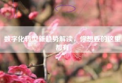 数字化转型新趋势解读，你想要的这里都有