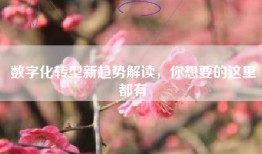 数字化转型新趋势解读，你想要的这里都有