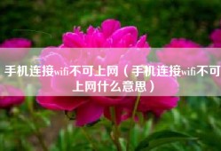 手机连接wifi不可上网（手机连接wifi不可上网什么意思）