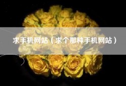 求手机网站（求个那种手机网站）