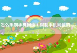 怎么限制手机网速（限制手机网速的app）