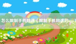 怎么限制手机网速（限制手机网速的app）