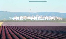 3d手机膜（3D手机膜是真的吗）