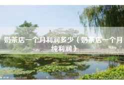 奶茶店一个月利润多少（奶茶店一个月纯利润）