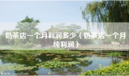 奶茶店一个月利润多少（奶茶店一个月纯利润）