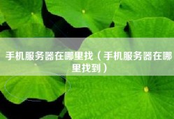 手机服务器在哪里找（手机服务器在哪里找到）