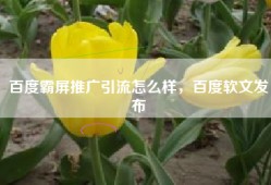 百度霸屏推广引流怎么样，百度软文发布