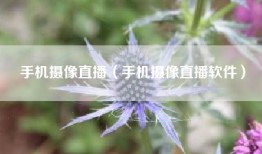 手机摄像直播（手机摄像直播软件）