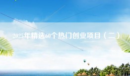 2025年精选60个热门创业项目（二）