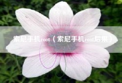 索尼手机root（索尼手机root后果）