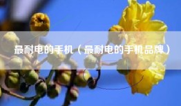 最耐电的手机（最耐电的手机品牌）