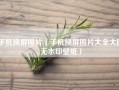 手机换屏图片（手机换屏图片大全大图无水印壁纸）