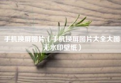 手机换屏图片（手机换屏图片大全大图无水印壁纸）
