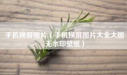 手机换屏图片（手机换屏图片大全大图无水印壁纸）