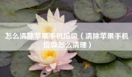 怎么清除苹果手机垃圾（清除苹果手机垃圾怎么清理）