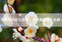 手机黑边怎么去除（手机黑边怎么去除 vivo）