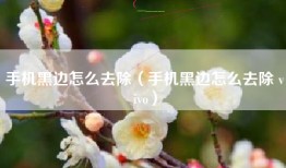 手机黑边怎么去除（手机黑边怎么去除 vivo）