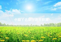 小脚丫去旅行语音教案