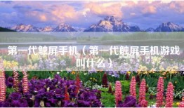 第一代触屏手机（第一代触屏手机游戏叫什么）
