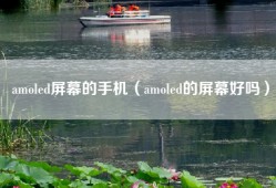 amoled屏幕的手机（amoled的屏幕好吗）