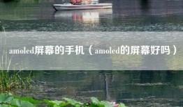 amoled屏幕的手机(amoled的屏幕好吗)