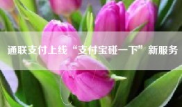 通联支付上线“支付宝碰一下”新服务
