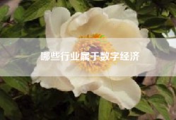 哪些行业属于数字经济